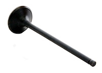 EM4407 Exhaust Engine Valve for 2000-2022 Saturn, Acura, Honda 3.0L, 3.2L, 3.5L, 3.7L