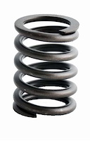 ERV1086 Valve Spring Set for Ford, 255 ci, 305 ci
