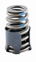 ERV1450 Valve Spring Set for Chrysler, 5.7L 345