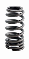 ERV1485 Valve Spring Set for Ford, 4.6L, 5.4L, 6.8L