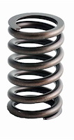 ERV1680 Valve Spring Set for GM/Chevrolet