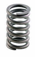 ERV2215 Valve Spring Set for Chrysler, 2.7L 167