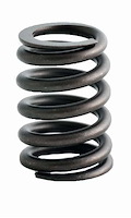 ERV3510 Valve Spring Set for GM/Isuzu