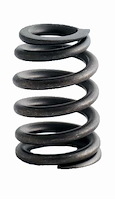 ERV3517 Valve Spring Set for GM/Isuzu, 2.2L 134