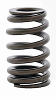 ERV3598 Valve Spring Set for GM/Chevrolet, 4.8L, 5.3L, 6.0L, 6.2L