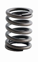 ERV812 Valve Spring Set for Ford, 240 ci, 300 ci