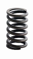 ERV813 Valve Spring Set for GM/Pontiac, 350 ci, 389 ci, 400 ci, 428 ci
