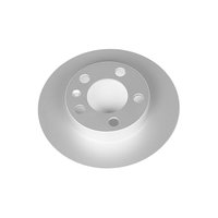EVOLUTION COATED ROTOR