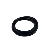 Rear Door Seal for 2015-2023 Jeep Renegade