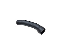 REAR TANK FILLER HOSE