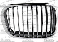 Grille Insert 1999-01 3 Series E46 Sedan/Wagon