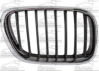 RH GRILLE CHR/BLK BMW X5 00-03