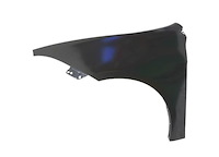 LH FRONT FENDER ASY DODGE
