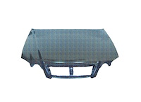 HOOD OPTIMA/MAGENTIS 03-06