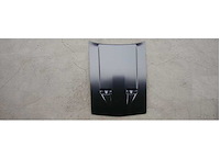 Hood with Scoop Holes 1971-73