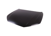 CAPA HOOD PANEL ASY AUDI