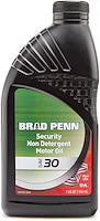 BP SECURITY OIL 30W QT