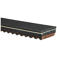 Recreational Belts - G-Force