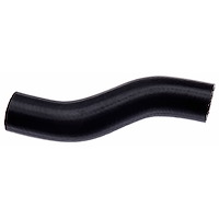Molded Radiator Hose