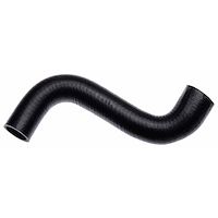 Molded Radiator Hose