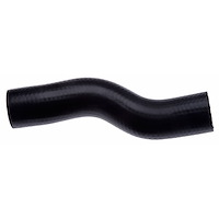 Molded Radiator Hose