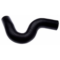Molded Radiator Hose