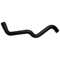 Molded Radiator Hose