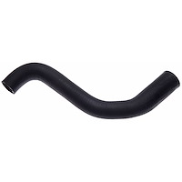 Molded Radiator Hose
