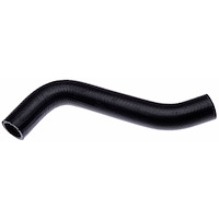 Molded Radiator Hose