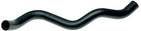 Coolant Hose - Molded