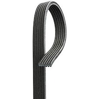 Dual Sided 6-Rib Micro V Belt Length: 72.54"