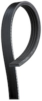 GATES STRETCH FIT BELTS