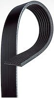 Micro-V AT Serpentine Belt for 2003-2013 Chevrolet, GMC and Nissan Models [7-Rib, 62.125 in. Outside Circumference]