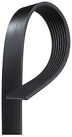 FleetRunner Micro-V Serpentine Belt [Length: 81 3/8 in.]