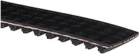 Timing Belts