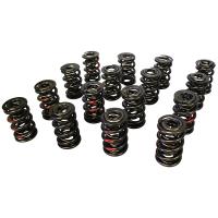 Pro-Alloy Dual Valve Spring Set 1.660 in. OD