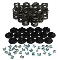 Performance Valve Spring Set 1.465 in. OD