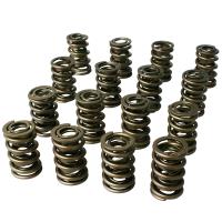 Max Effort Mechanical Roller Dual Valve Spring Set 1.539 in. OD