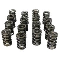 Max Effort Mechanical Roller Dual Valve Spring Set 1.540 in. OD