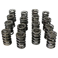 Stock Dual Valve Spring Set 1.514" OD