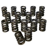 Pacaloy Dual Valve Spring Set 1.574 in. OD