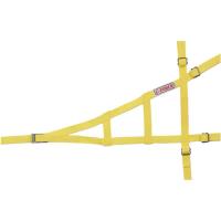 Safety Net 5 Point Mounting System