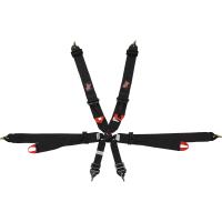 Pro-Series Latch & Link 6-Point FIA Rated Harness