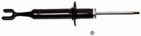 Premium Struts for 2000-2008 Audi A4 & 2000-2008 Audi A4 Quattro