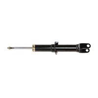 Premium Struts for 2005-2009 Dodge Dakota
