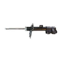 Premium Struts for 2003-2007 Nissan Murano