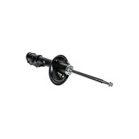 Premium Struts for 2006-2010 Kia Optima