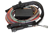 HT-141306 Elite 2500 & 2500 T Premium Universal Wire-in Harness, Length: 3m (9.8')