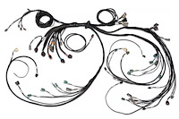 HT-186205 Nexus R5 Terminated Harness, GM LSX DBW