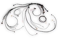 HT-186500 Nexus Rebel LS Terminated Harness for Nexus Rebel LS ECU